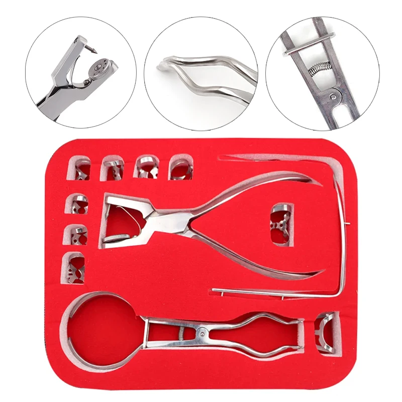 

Dental Hole Puncher Pliers Rubber Clips Kit Rubber Dam Puncher Dentist Orthodontic Perforator Tool