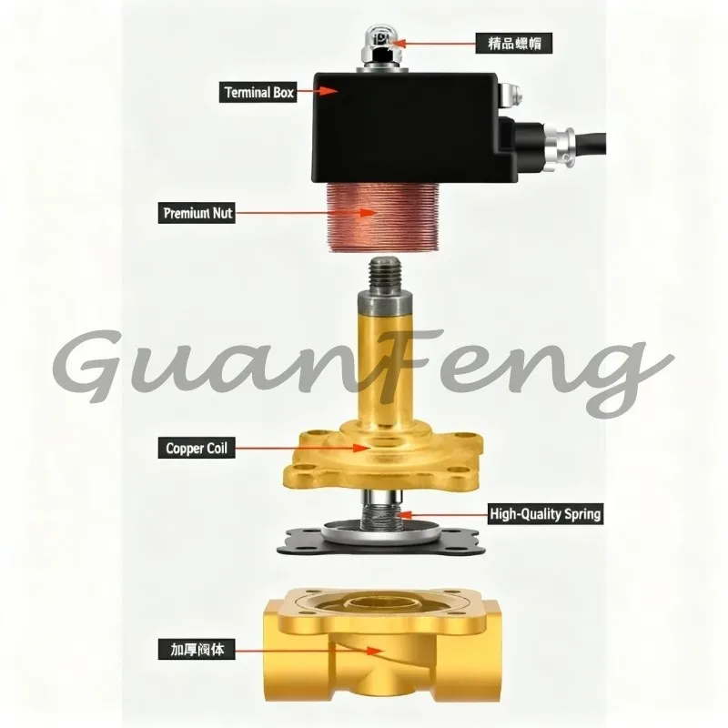220V Brass 1/2
