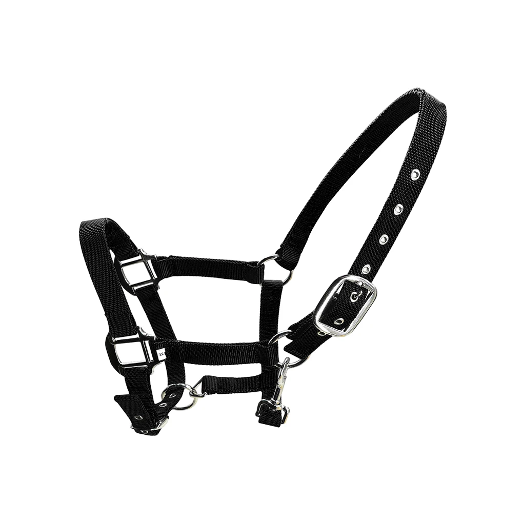 Padded Halter Pony Bridle Head Collar Adjustable Protection Rustproof