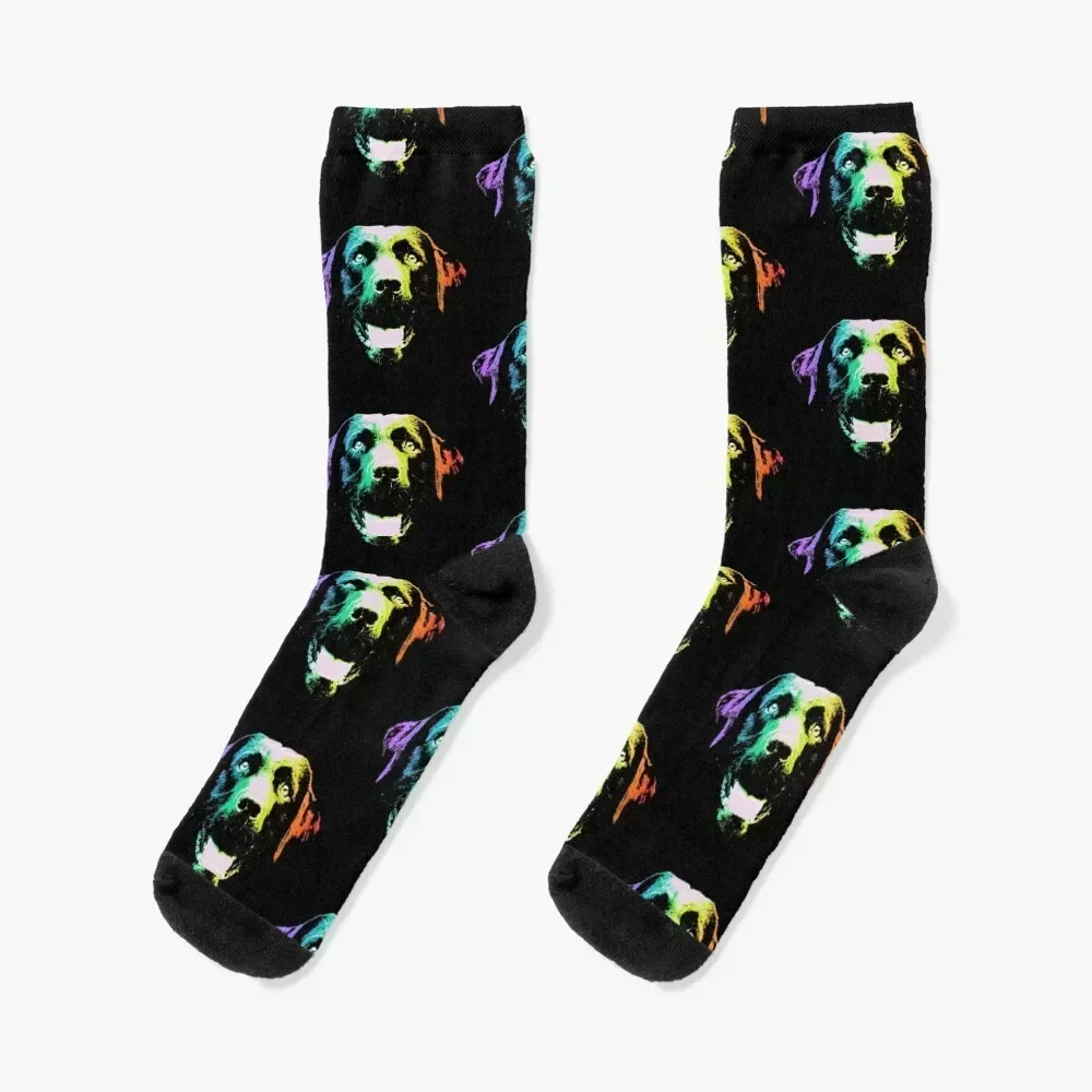 

Rainbow Lab Socks man anime hiking new in's Mens Socks Women's