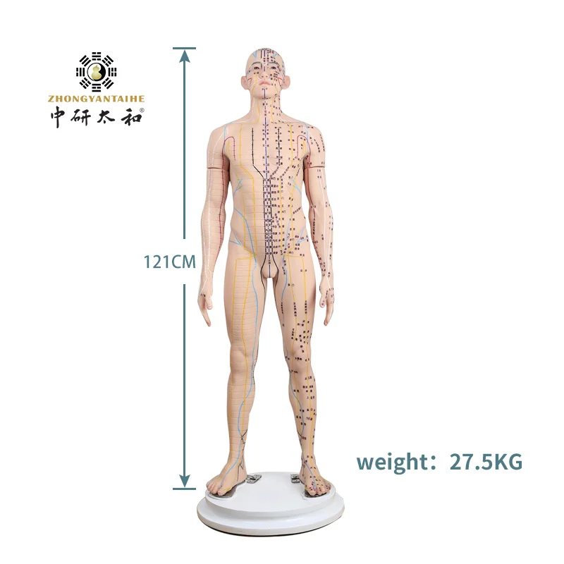 Simulated Human Acupuncture Model, Silicone Meridians Acupuncture 121Cm Acupuncture Model For Acupuncture Acupuncture-Tool Point