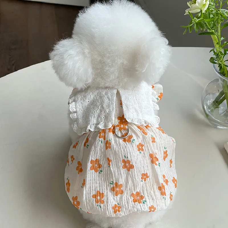 Costume d'été pour chien, chat, chiot, petit chien, gilet, robe, Chihuahua, Yorkie, poméranien, Shih Tzu, chien maltais, Xxs