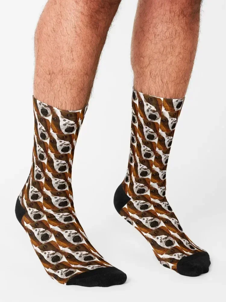 Welsh Springer Spaniel Art Socks moving stockings hip hop crazy luxury Socks Male Women's