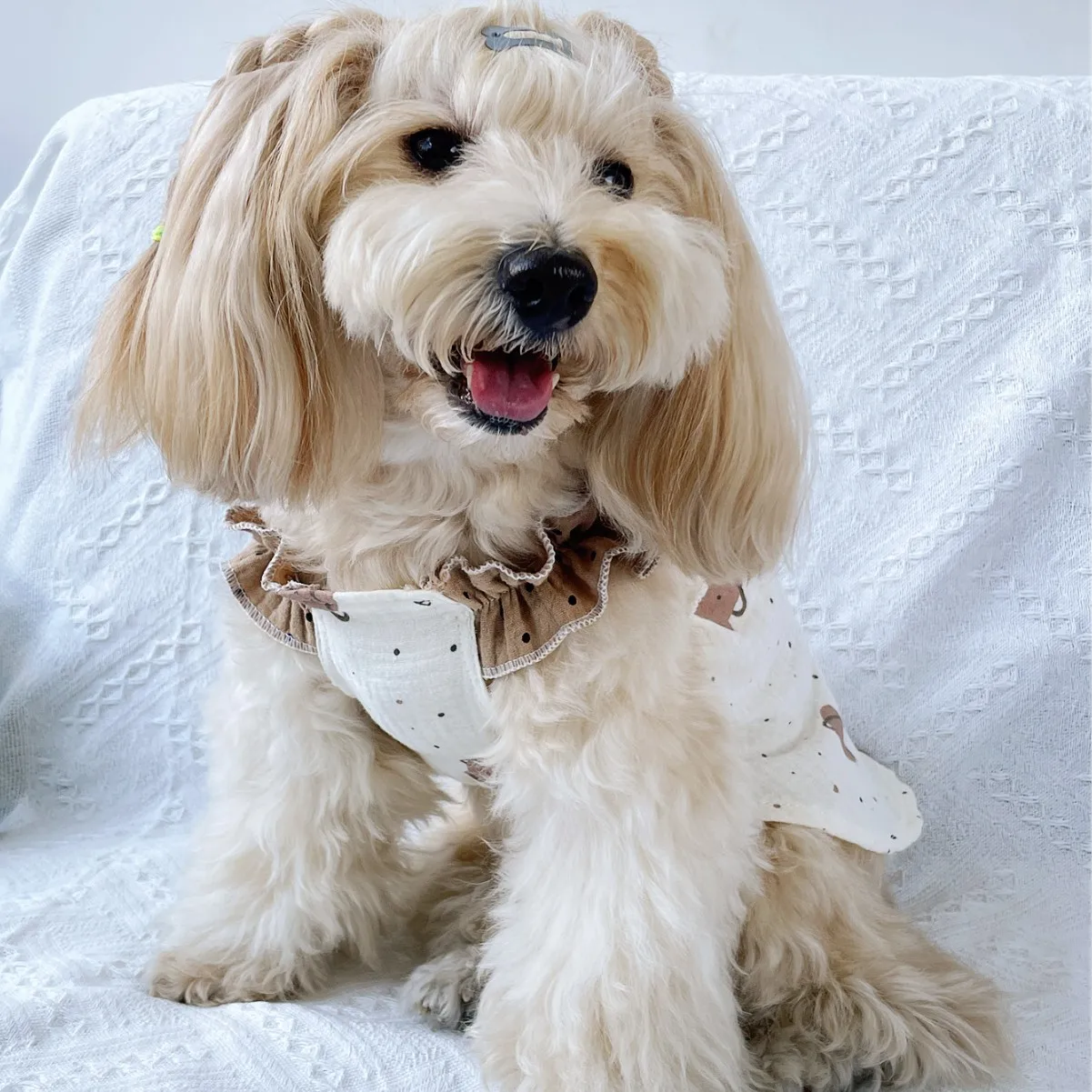 Ruffle Princess Sling Pet Dress Space Bear Print Universal Dog Cat Outfit For Teddy Puppy Indoor Outdoor Daily Pet Clothing view 2