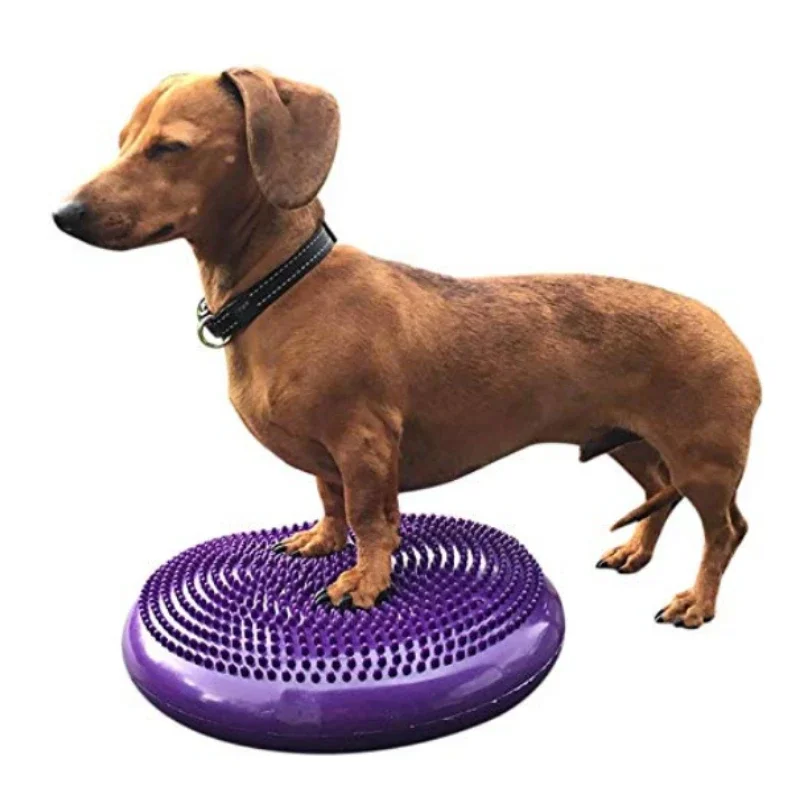 Dogs Training Aids Balance Flying Saucer Fitness Sports Muscle Atrophy Dog Agility Toy Pet Rehabilitation Training Products