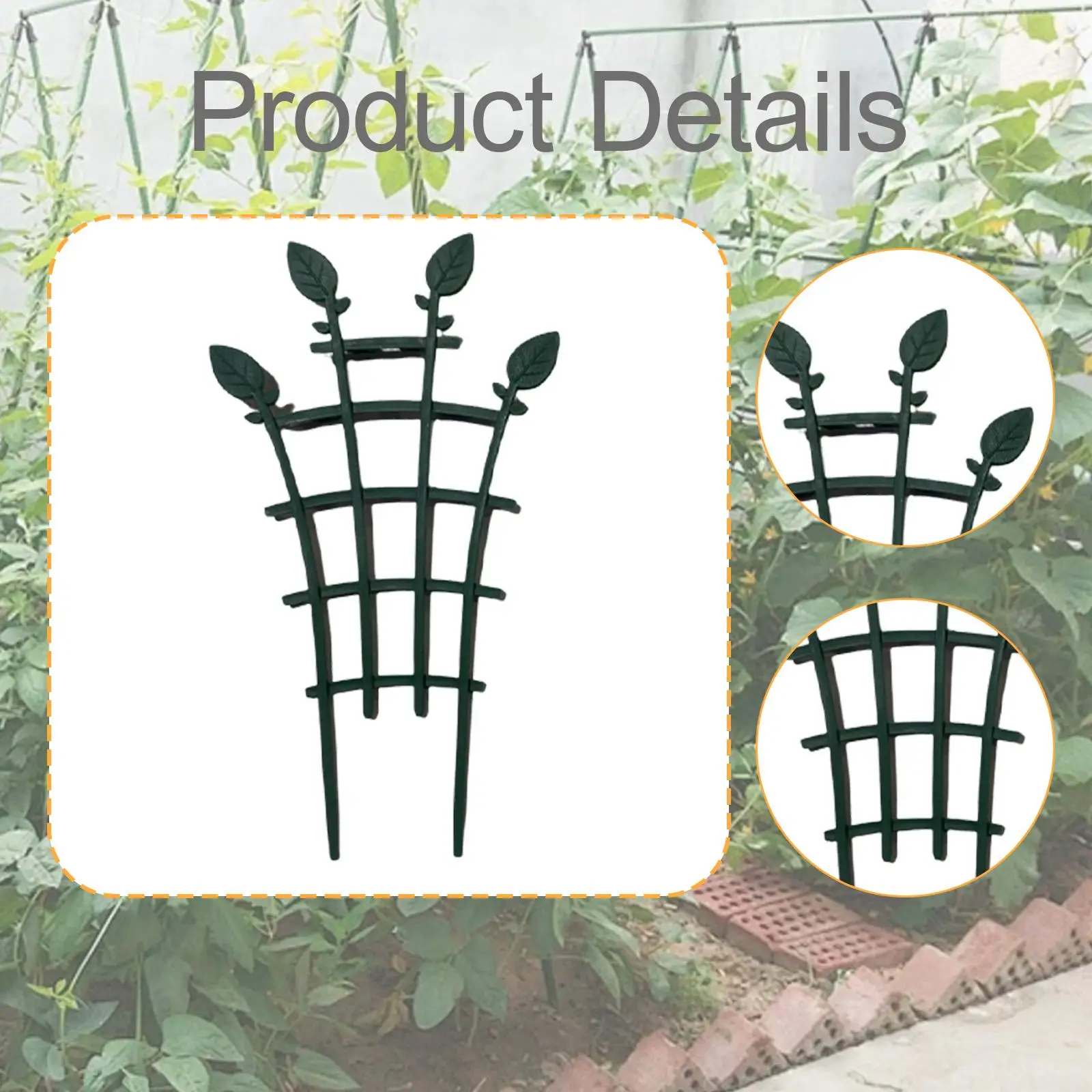 5X Plant Support St…