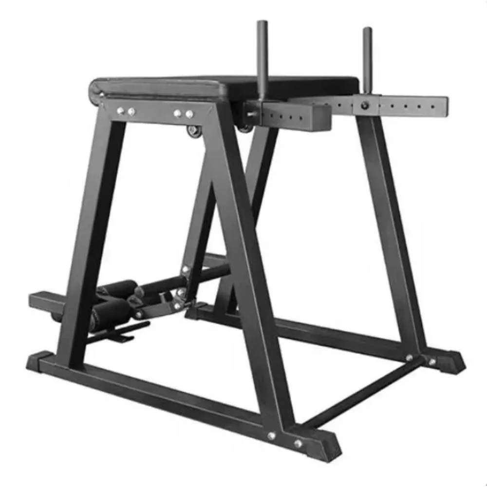 Reverse Hyper Extension Machine