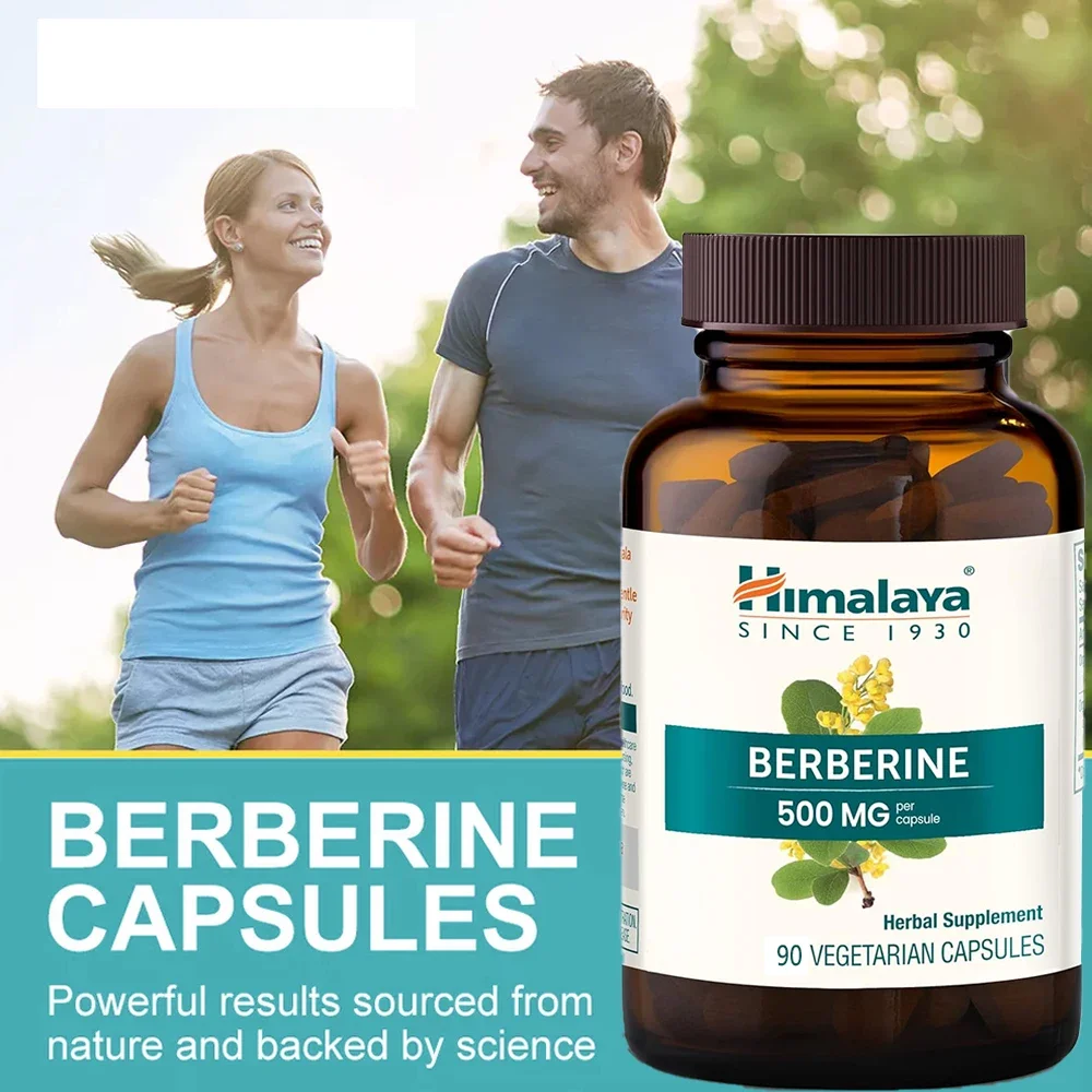 Berberine Supplement Capsules - For Metabolism & Cholesterol, GI Health & Immunity, Antioxidant, 500 mg, Vegan, Gluten Free