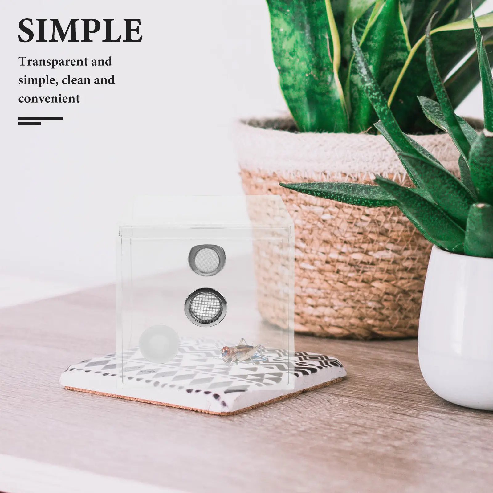 Clear Cricket Keepe…