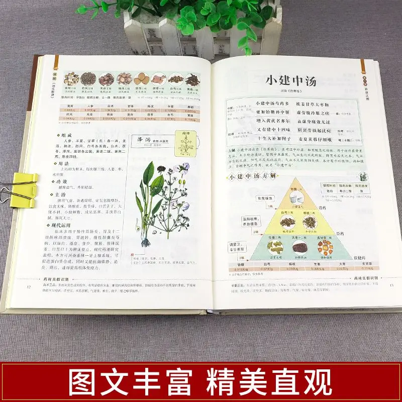 TCM Construção Completa da Fórmula da Sopa, Imagens e Texto Coloridos, Saúde e Informação, Livros Teoria dos Segredos