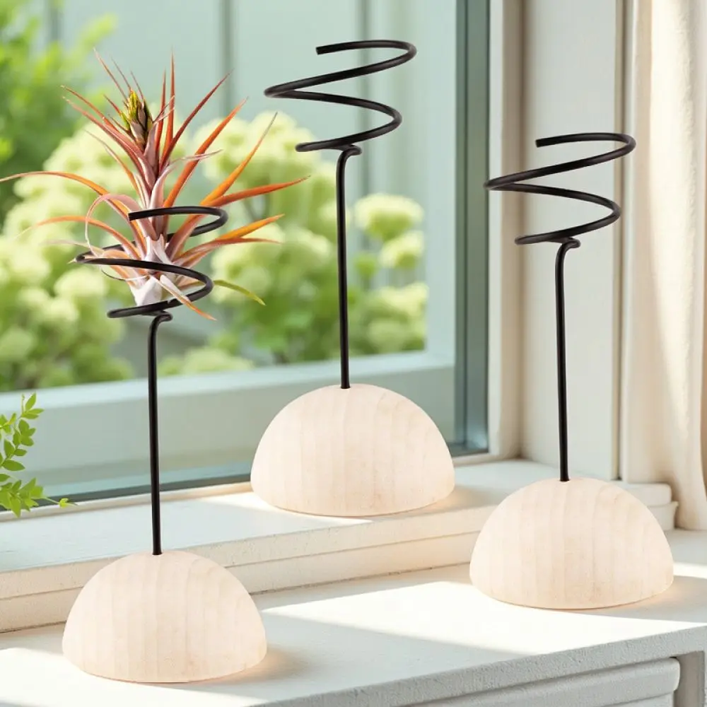 Minimalist Air Plant Stand Hemisphere Wood Base For Tillandsia Holder Indoor Plant Support Desktop Ornament