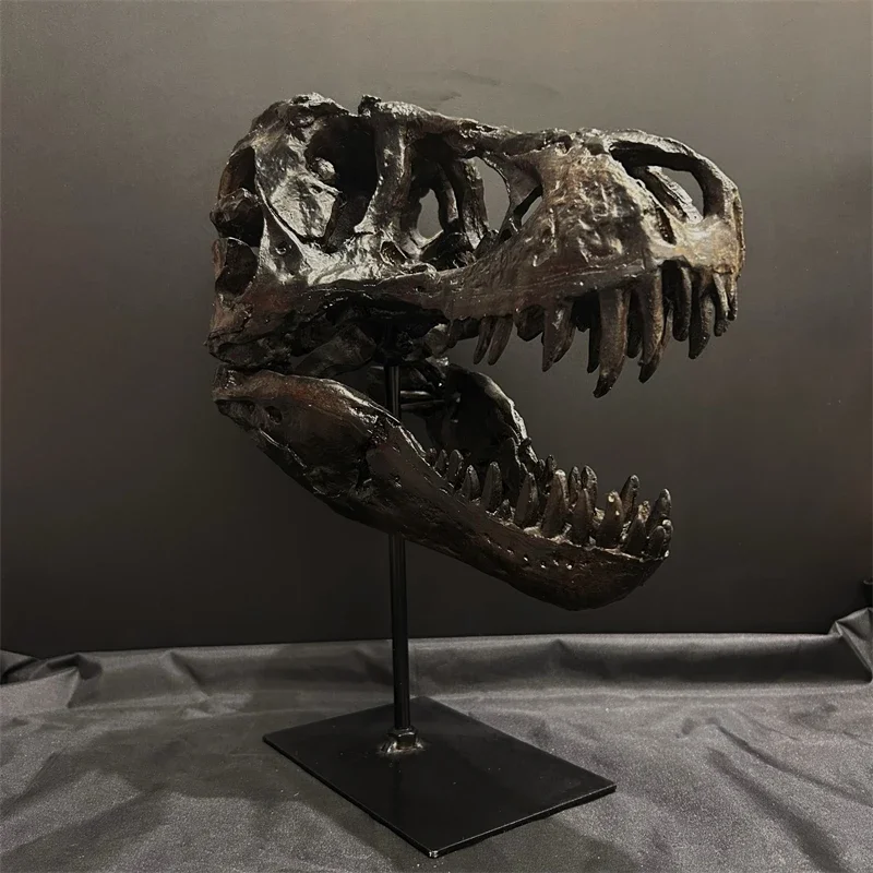 Dinosaur Skull Stand Realistic Skeleton Model Premium Resin Museum Style Home Study Table Decor For Men Gift Birthday
