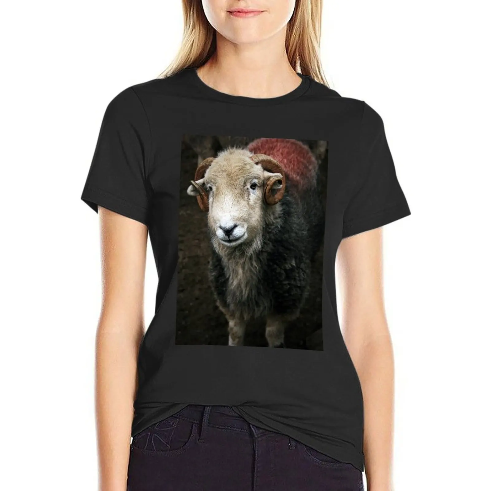 

A Herdwick Ram T-Shirt animal print blacks western t-shirt dress for Women