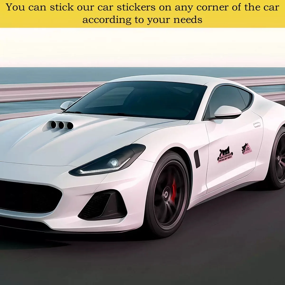 Magnetischer Reflektierender Aufkleber für Fahrschüler, Studenten-Fahrer-Stoßstangenaufkleber, Englischer Katzen-Aufkleber – Detail 3
