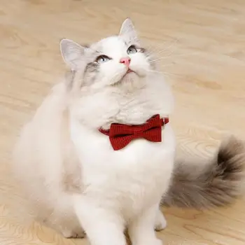 Pet Collar Adjustable Durable Cat Collars Cute Bow Kitten Necklace Soft Bell Puppy Lead Pet Product Dog Supplies Cat Accessories 4