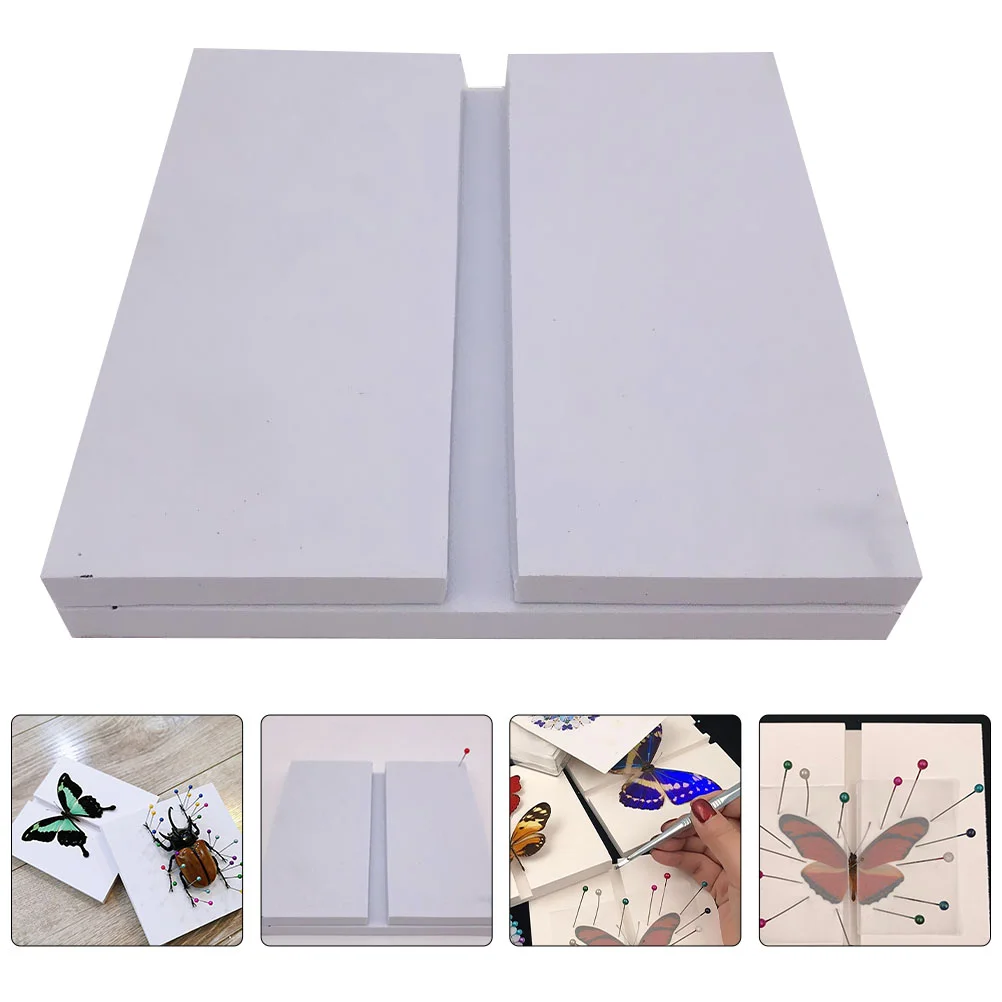 Board Specimen Display Insect Spreading Panel Experimentalframe Pinning Wings Tools Bug Box