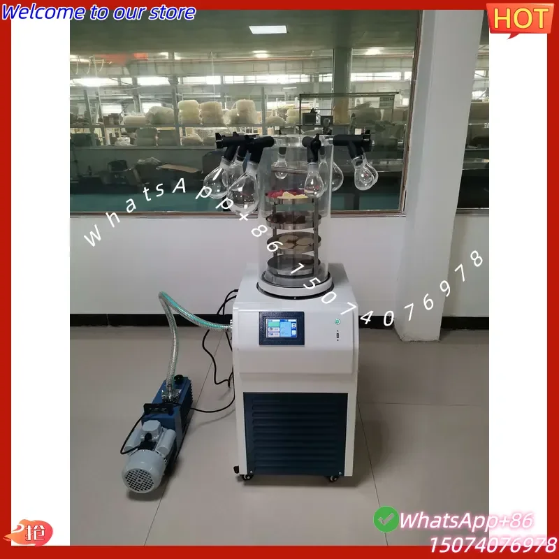 2026 Professional High Efficiency Stainless Steel Benchtop Food Fruit Vegetable Processing Laboratory Vacuum Dryer