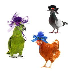 1 Pc Pigeon Velvet Flower Top Hat Pet Hamster Lizard Hat Interesting Pet Feather Top Hat Poultry Fashion Performance Costume