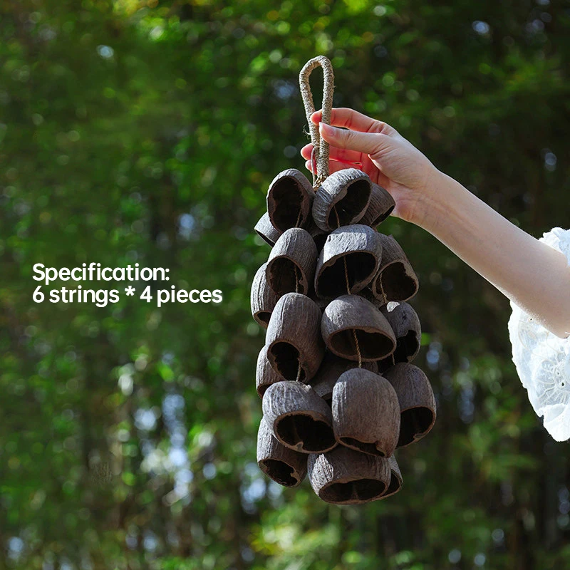 Spiritual Sound Healing Chime Bell Natural Fruit Shell Hand Bell Percussion for Meditation Yoga Outdoor Wind Chime