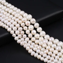 Natural Freshwater Pearl Beads Round Shape Spacing Isolation Loose Beaded for Jewelry Making DIY Bracelet Necklace Accessories