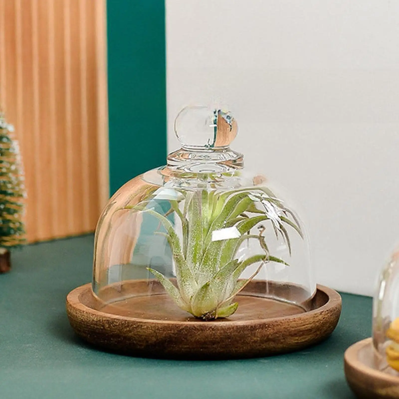 Cúpula de Cristal para Postres, Cubierta para Frutas, Exhibición de Pasteles, Cúpula Antipolvo para Pasteles para Piscina