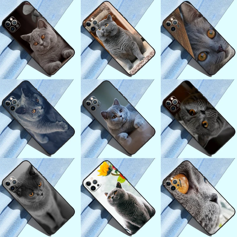 Красивый серый британский короткошерстный кот для Realme 10 11 Pro Plus GT Neo 5 2T C55 C35 C33 C31 C21Y OnePlus Nord 3 CE 2 Lite Case Красивый серый британский короткошерстный кот для Realme 10 11 Pro Plus GT Neo 5 2T C55 C35 C33 C31 C21Y OnePlus Nord 3 CE 2 Lite Case