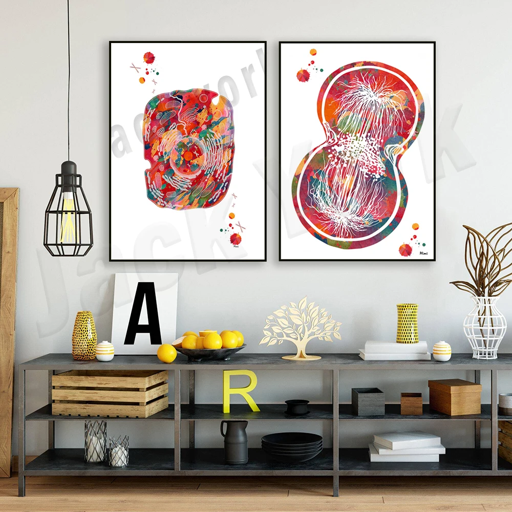 Cell division watercolor science art poster human cell structure illustration biology lab wall decor genetic art print