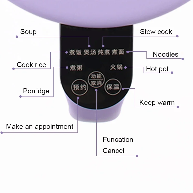 110V/220V wielofunkcyjne urządzenie do gotowania ryżu elektryczne gulasz zupa owsianka makaron garnek do gotowania jajka omlet patelnia podgrzewacz
