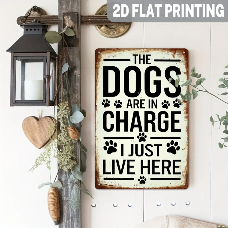 2D Flat 1pc, 