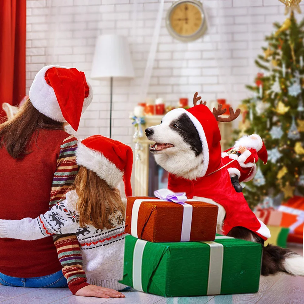 Christmas Pet Dog C… - image