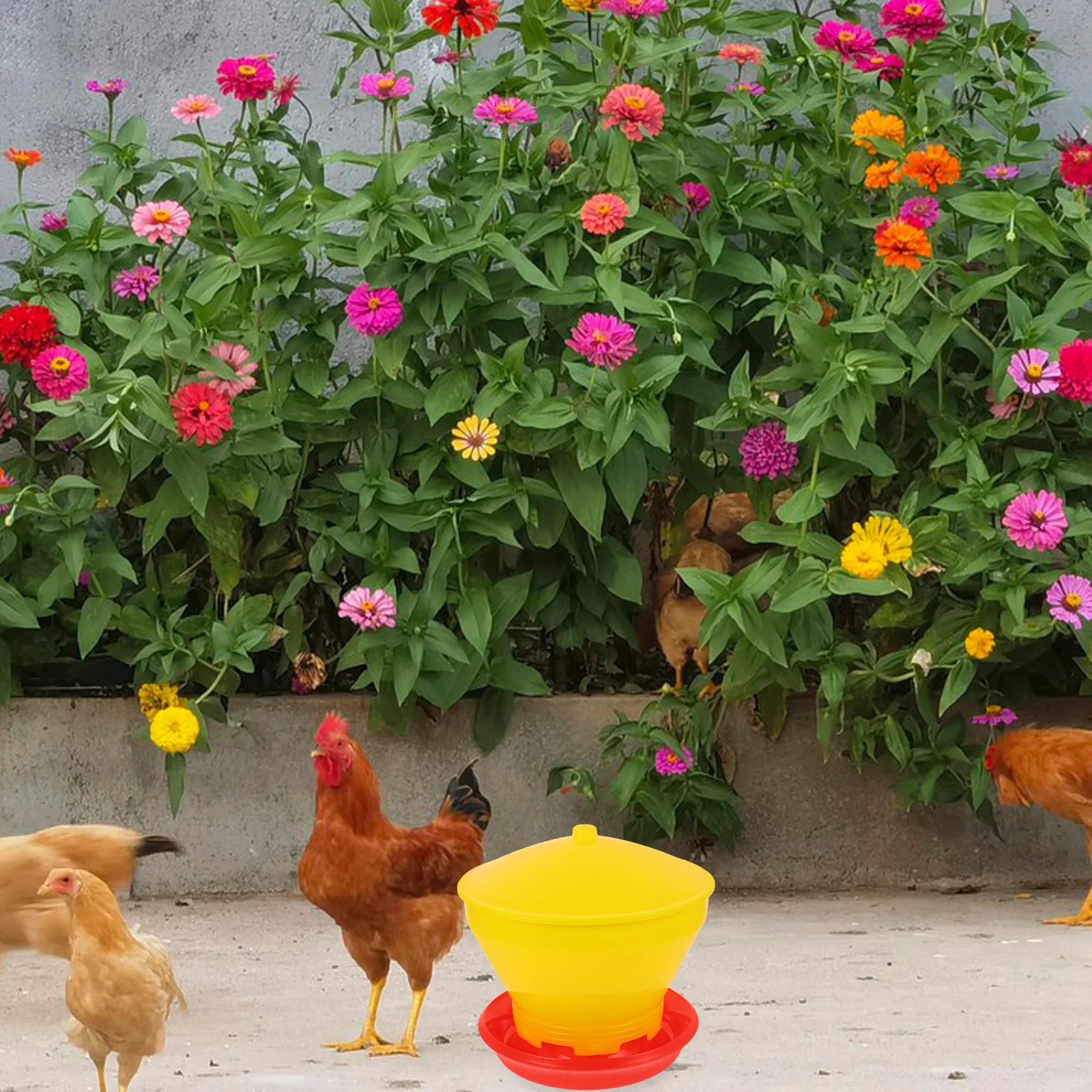 

Automatic Poultry Feeding Bucket Durable Reusable PP Chick Feeder Easy Clean Smooth Surface for Chicken Goose Farming Supplies