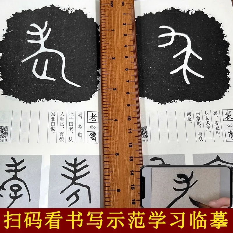 Chinese Bronze Script (Jin Wen) Calligraphy Book: A Beginner's Guide to Learning Seal Script for Students & Adult Beginners