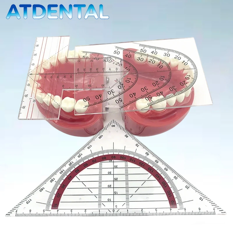 

3PCS Dental Ruler & Guide Plate - Professional Teeth Arrangement Tool for Denture Work and Alignment