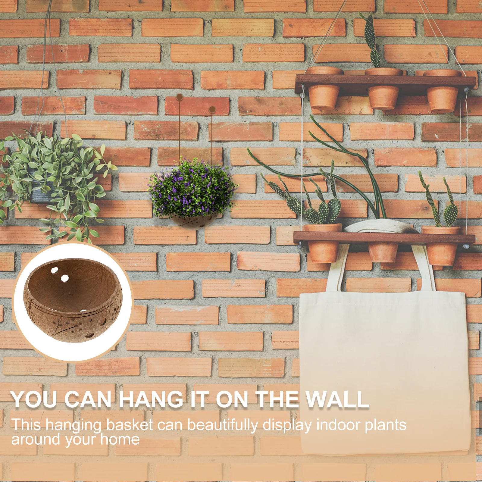 وعاء نبات عصاري معلق على شكل قشرة جوز الهند سلة معلقة على شكل زهرة صغيرة للداخلية والخارجية وديكور حديقة الشرفة وعاء الزراعة والحديقة #2