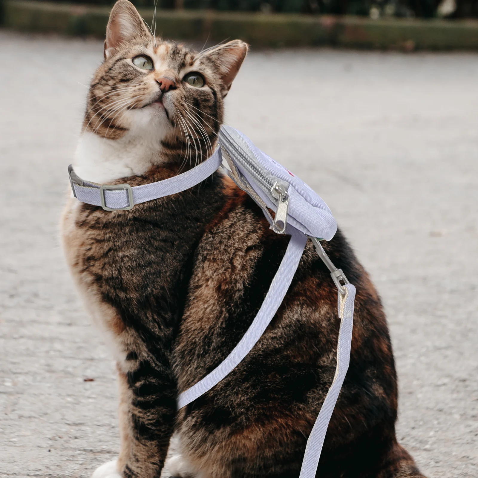 

Cat Harness Set Sky Adjustable Leash For Pet blue Adjustable 120cm Pet Supplies Dog Vest Wear resistant Harness for Small Pets