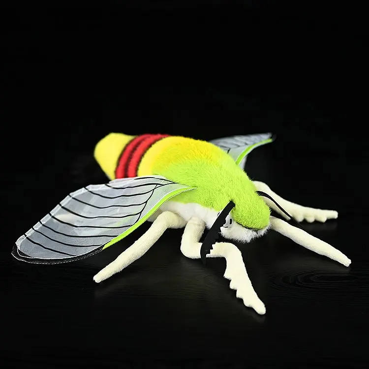 Cephonodes Hylas Knickknack,nicknack,Small Ornaments and Miniature Models,Coffee Hawk Moth, Coffee Bee Hawkmoth