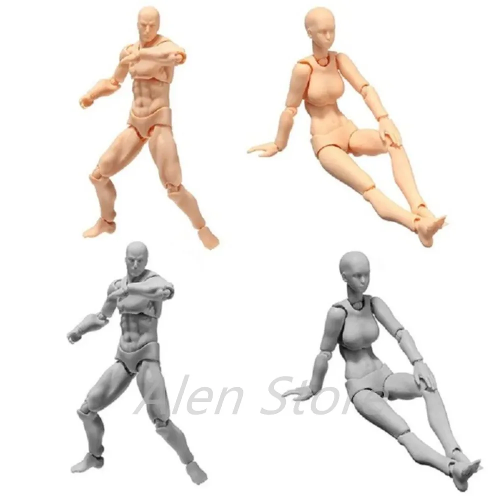 Light Body Chan Body Kun Action Figure PVC Movebale Archetype He She Ferrite SHF Version 2.0 Mannequin Drawing Model Figure Gift