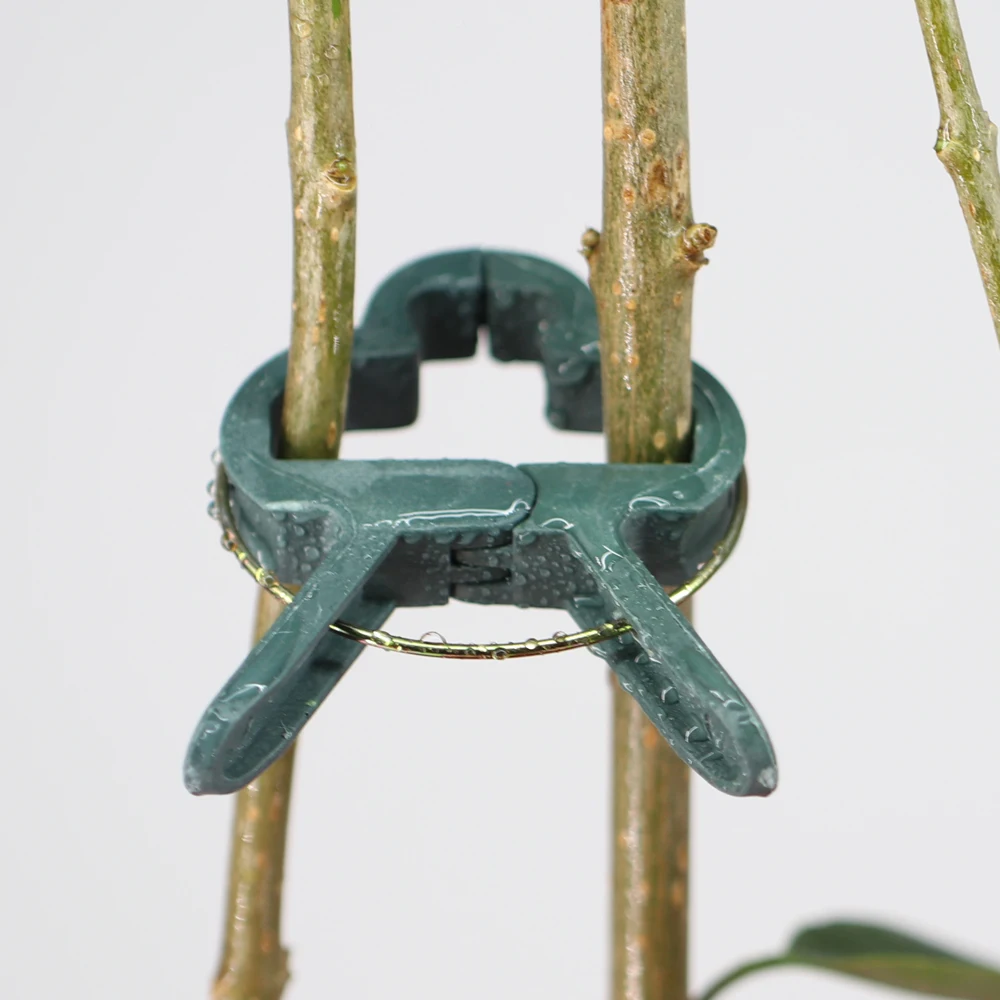 

10 шт., многоразовые фиксирующие зажимы для растений