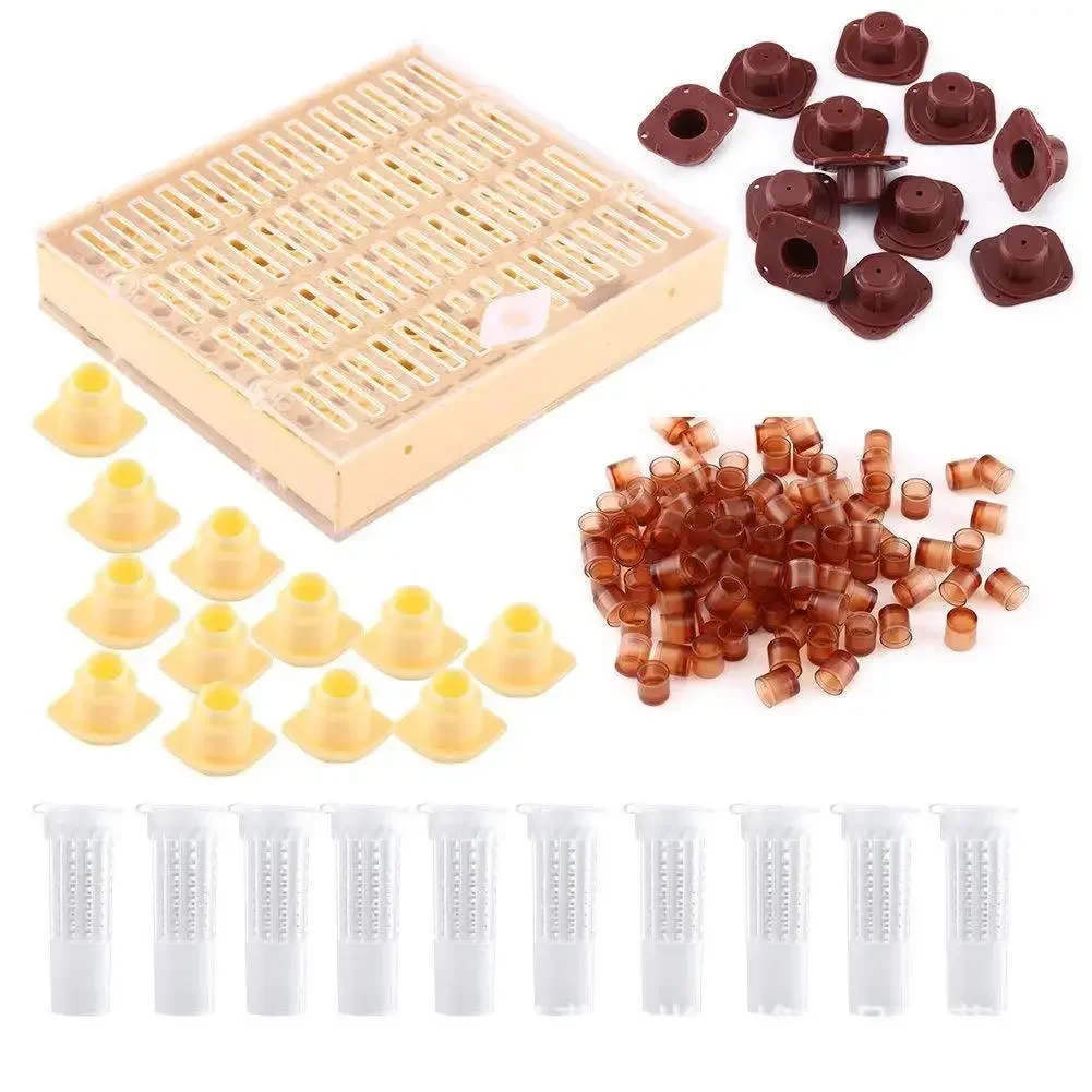 Beekeeping Tools Equipment Set Queen Rearing System Cultivating Box 120pcs Plastic Bee Cell Cups Cupkit Cage