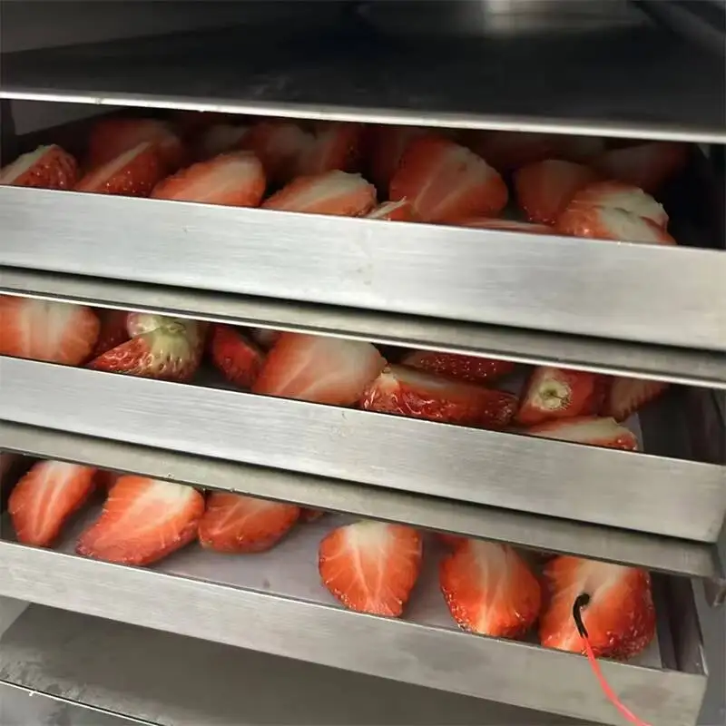 مجفف بالتجميد، تقنية جديدة للتجفيف بالتجميد، آلة تجفيف بالتجميد للفواكه المجففة والخضروات #3