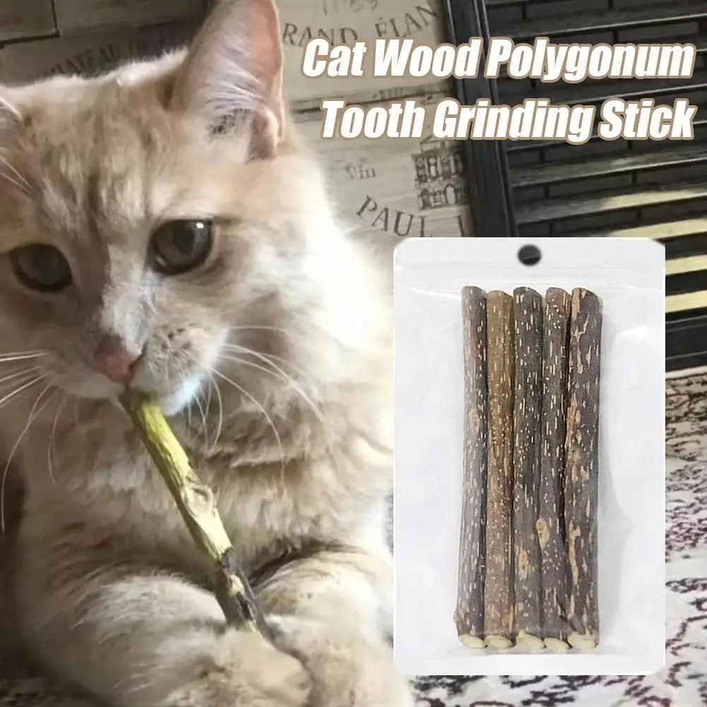 Cat Molar Stick Natural Catnip Teeth Cleaning Toothpaste Silvervine Cat Snack Polygonum Tooth Grinding Stick Chew Pet Toy