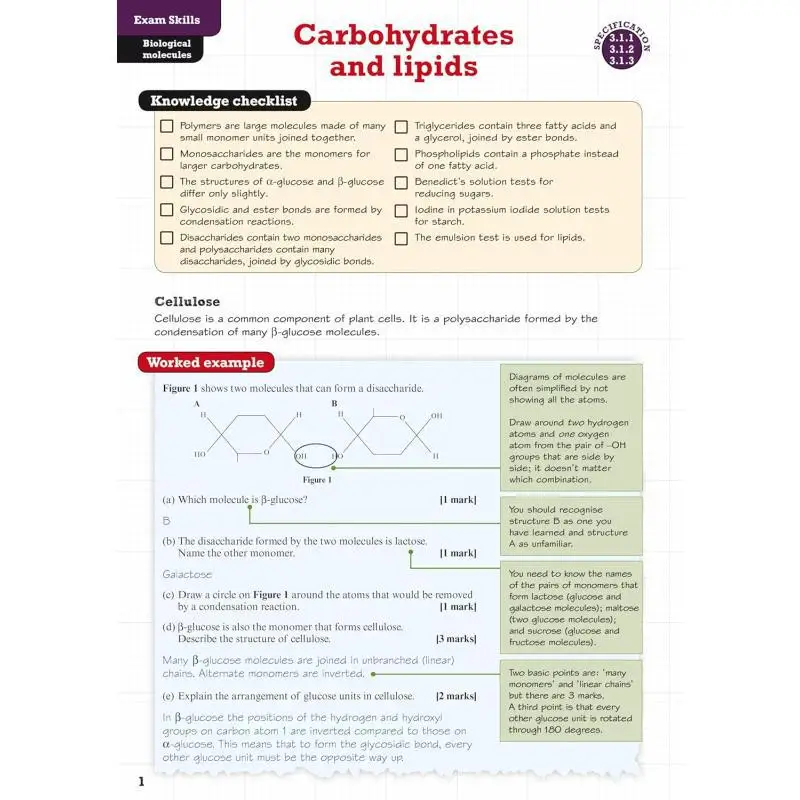 بيرسون ريفيز AQA منشئ مهارات امتحان الأحياء على مستوى 2025 و2026 امتحان إليزابيث وايلد بيرسون التعليم 9781292271644 كتاب