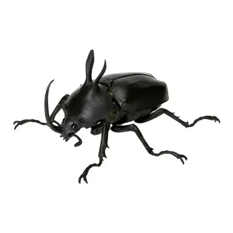 BANDAI Anime Biological Encyclopedia Beetle Dynastes Satanas GASHAPON Christmas Gifts Genuine Action Figure Model Toys