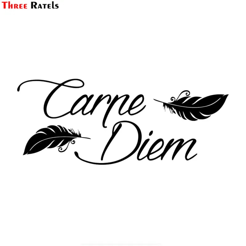 

Three Ratels FTZ-103# Carpe Diem Stickers Vinyl Styling Art Sticker Creative Decal DIY Accessories Drop