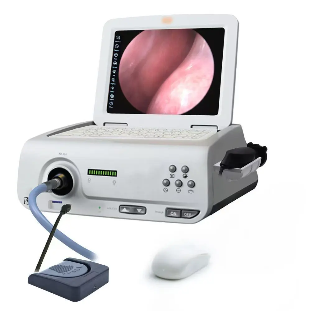 

12-Inch HD 1080P 60W LED Light Source Medical & Veterinary Instrument ENT & Pet Endoscope Anochoscopy video System Workstation