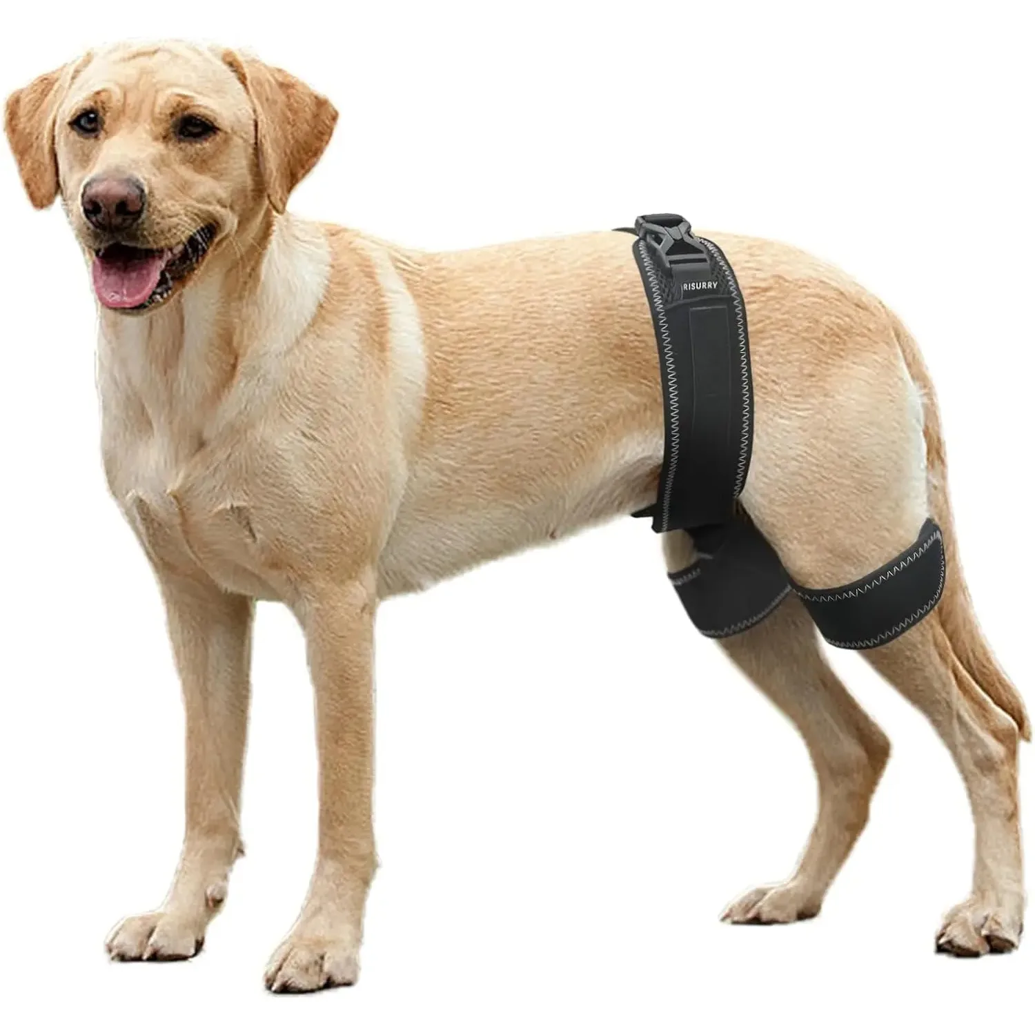 ortesis-para-cadera-de-perro-soporte-para-displasia-de-cadera-alivia-el-dolor-previene-enfermedades-de-articulaciones-de-cadera-ayuda-a-la-recuperacion-de-lesiones-en-perros