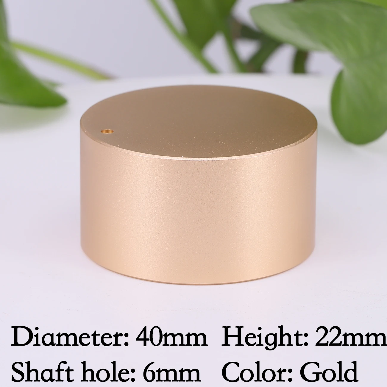 40x22mm Gold 1PC