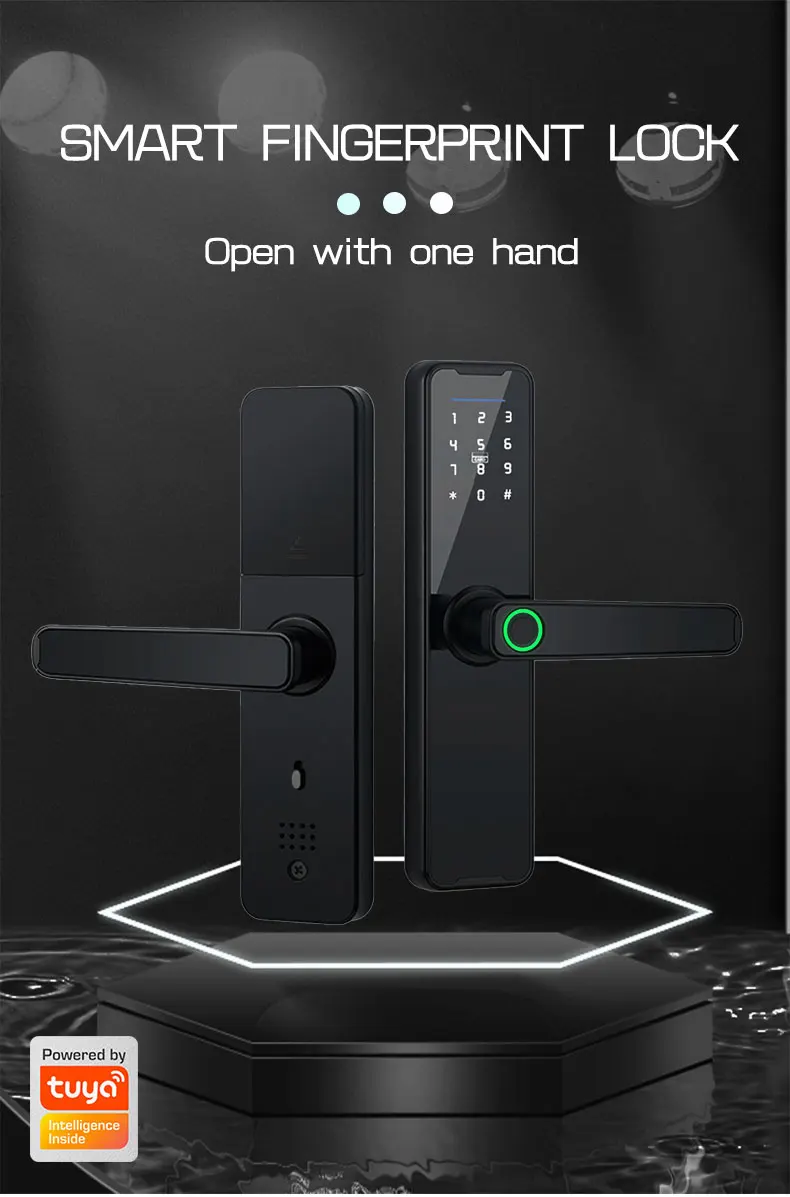 Tuya WiFi Smart Door Lock Biometric Fingerprint App Remote Unlocking Keyless Lock Electronic Door Lock