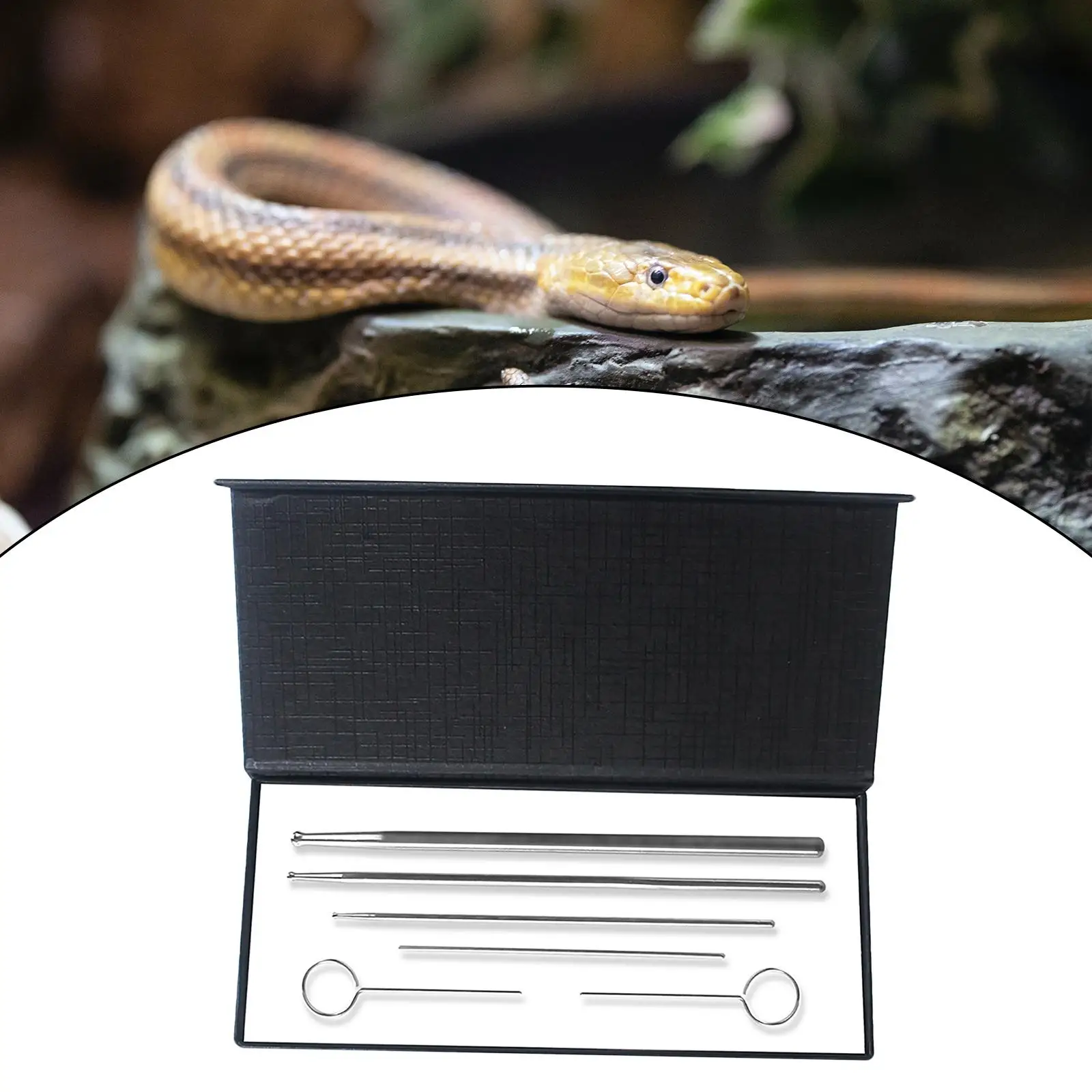 6Pcs/Set Snake Gender Detector Kit Reusable Stainless Steel High Performance Reptiles Snake Gender Probes Kit Detection Tool