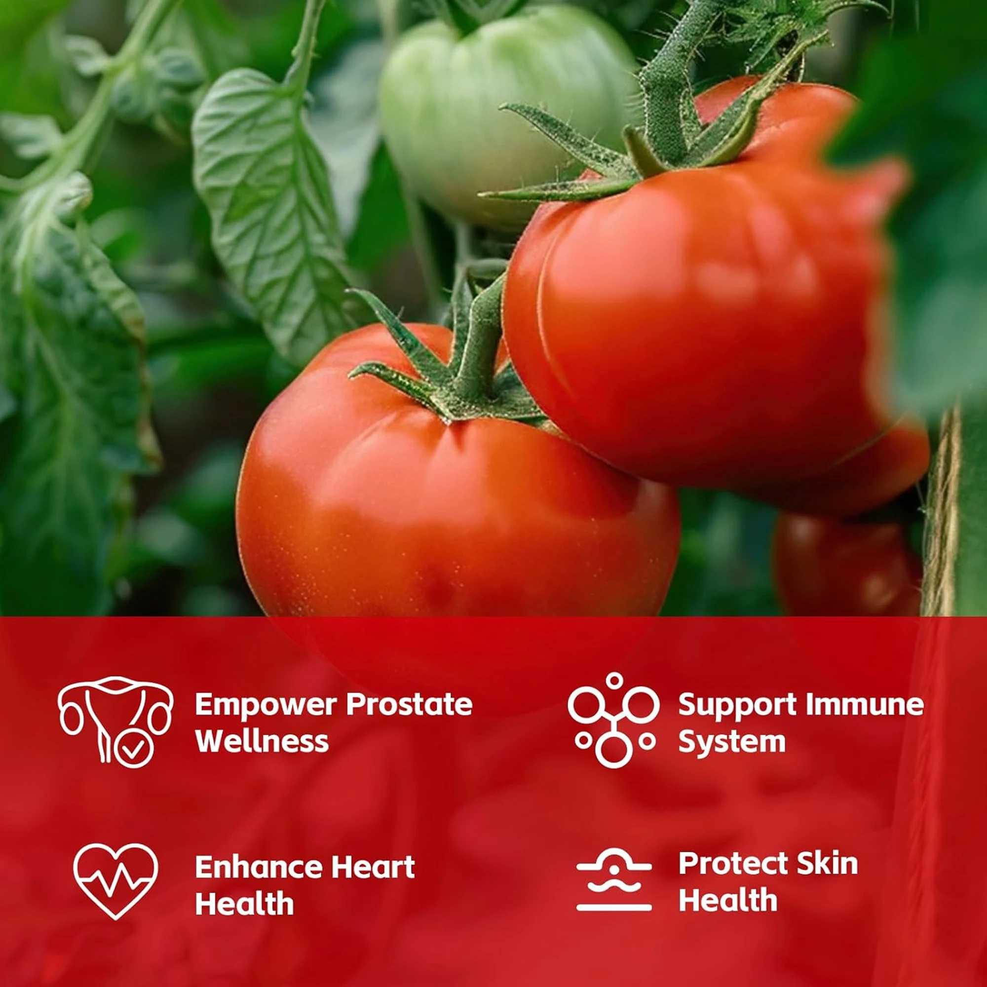 Lycopene - Prostate and Heart Health Support Enhance Immunity, Urinary Tract Health